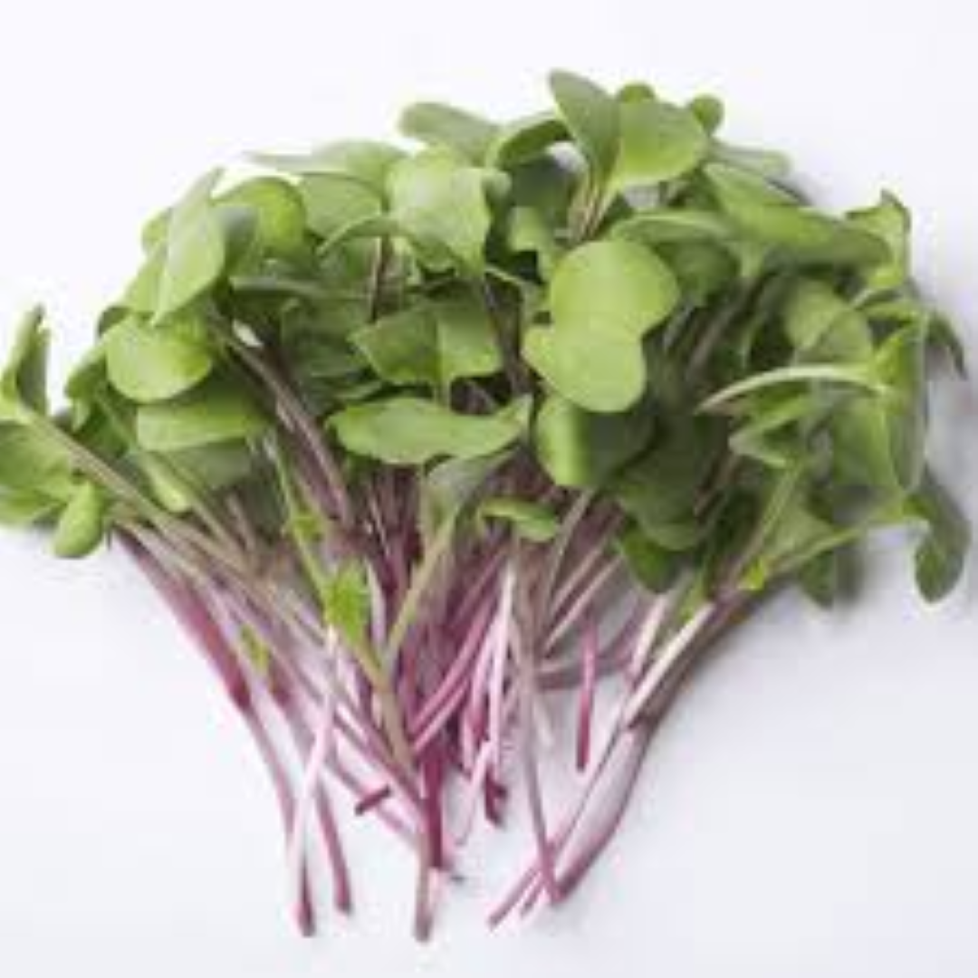 GARNISH GARDEN MICROGREENS RADISH MIX 30G	